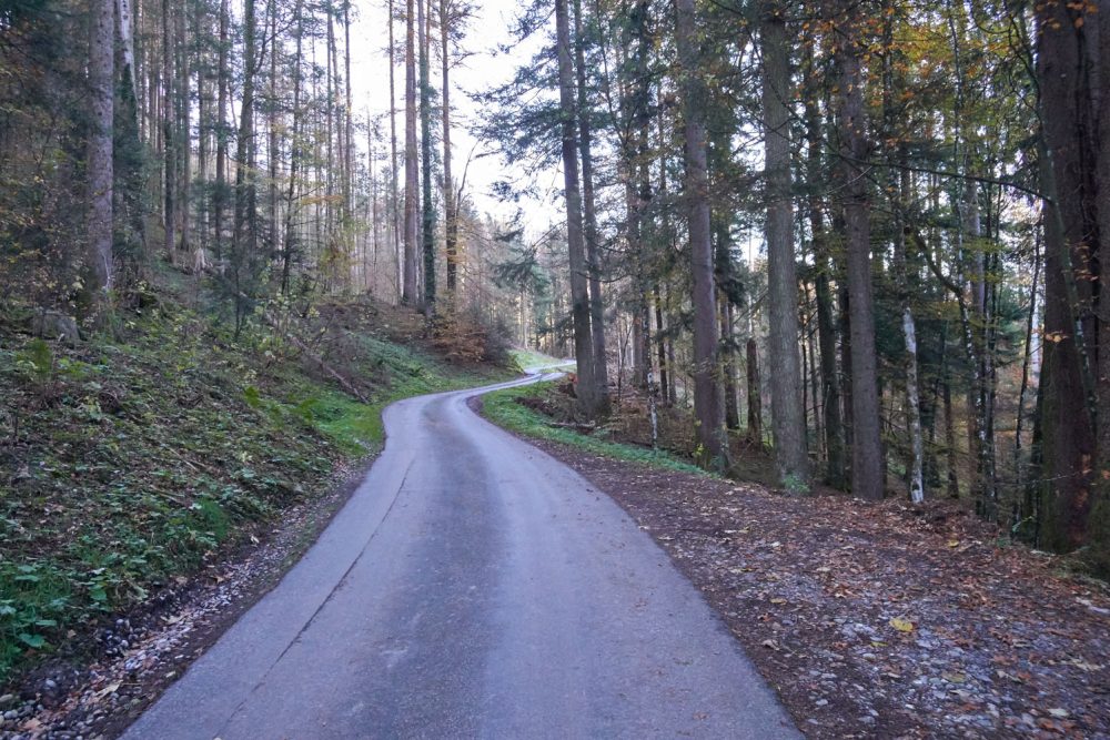 gravel-bike-tour-rossweidhöchi-glarus-schwyz