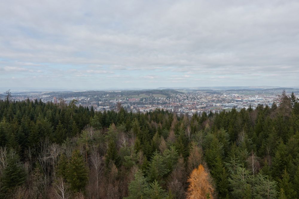 Aussicht vom Eschenberg Turm